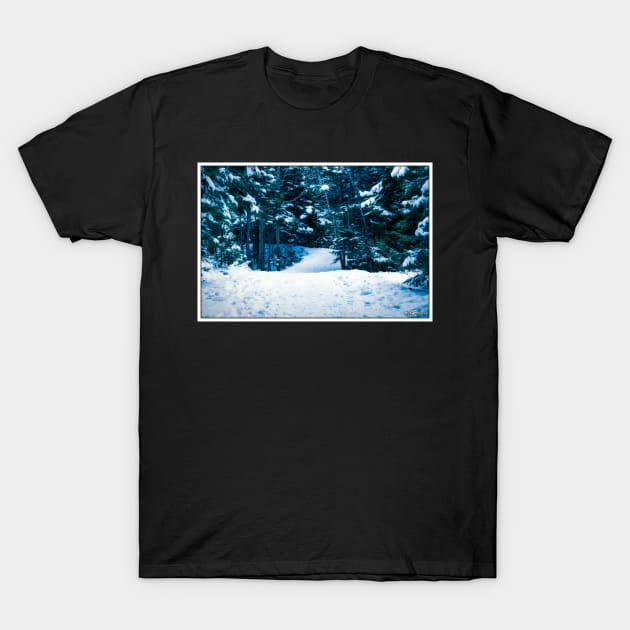 Hemlock Ravine Park 12 T-Shirt by kenmo